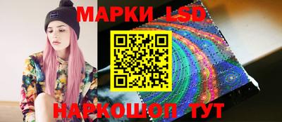 индика Ярославль