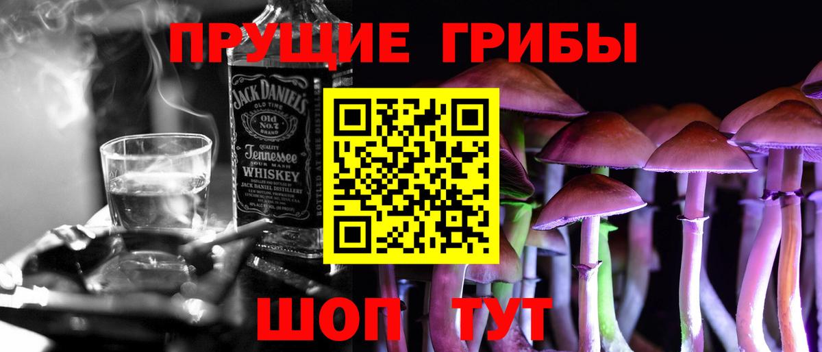 Псилоцибиновые грибы Psilocybe Лениногорск